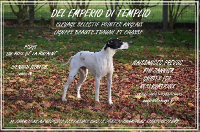 del emperio di templio - Le pere noel est passé !!!!!!